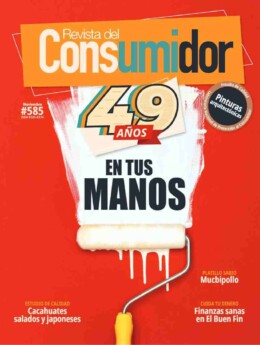 Revista Consumidor Noviembre 2025 Descargar PDF